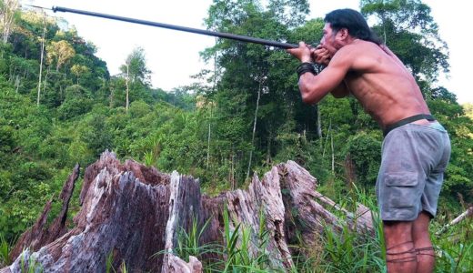 Borneo Death Blow – full documentary