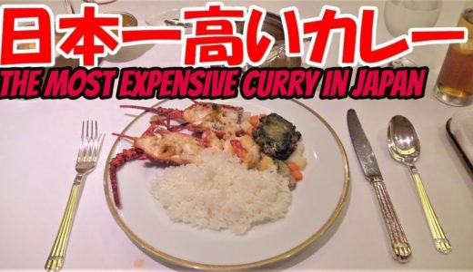 $100 Seafood Curry in Ginza | Raphael Japan