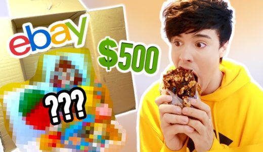 opening a $500 mystery box of FOODS from eBay!!!