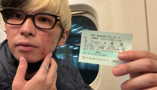 傷だらけの顔で新幹線乗って地元に1人で帰りました…【ヒカルの姫路1人旅】